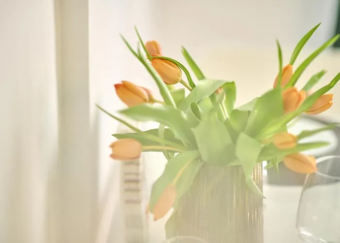 Seavibes Promenada Apartment Navodari